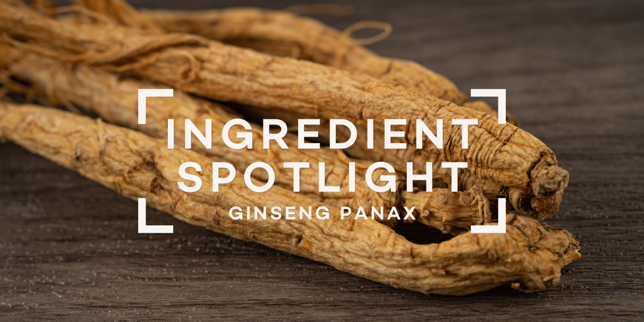 ginseng-panax-ingredient-spotlight